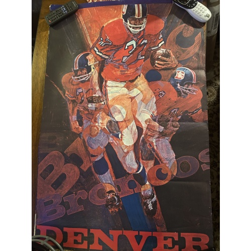 Denver Broncos 24 X 36 Poster