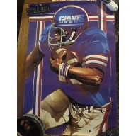 New York Giants 24 X 36 Poster